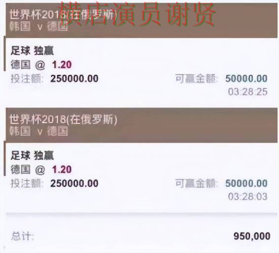 2026世界杯来临，世界杯投注入口平台排行与平台选择汇总